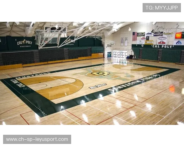 中国篮球运动场馆年投资增长，基础设施持续改善，中国的篮球场