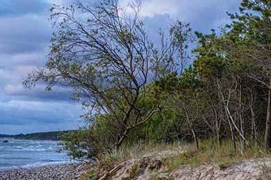 LPL选手转会风波引发粉丝热议，lpl选手转会规则