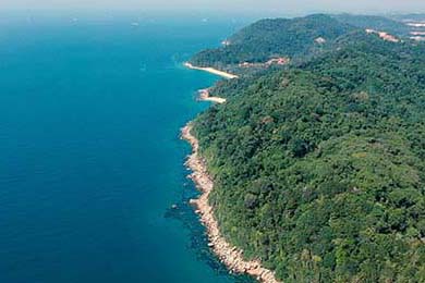 LPL选手转会风波引发粉丝热议，lpl选手转会规则